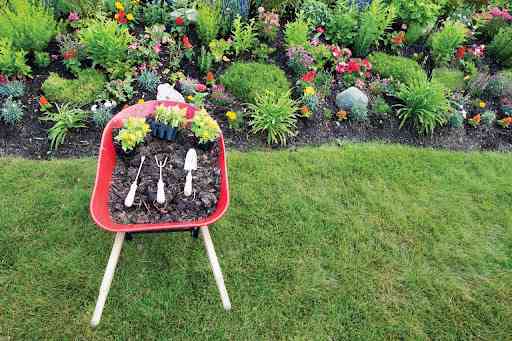 flower plantation in house garden