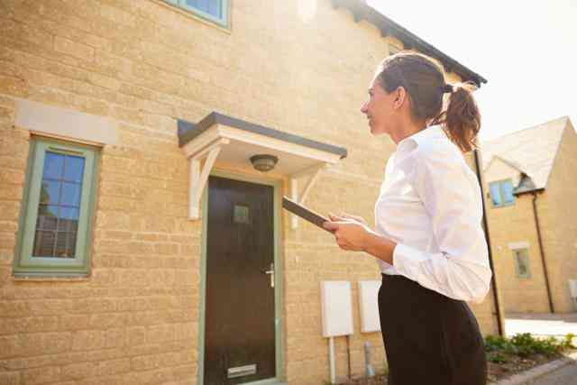 woman surveying a house