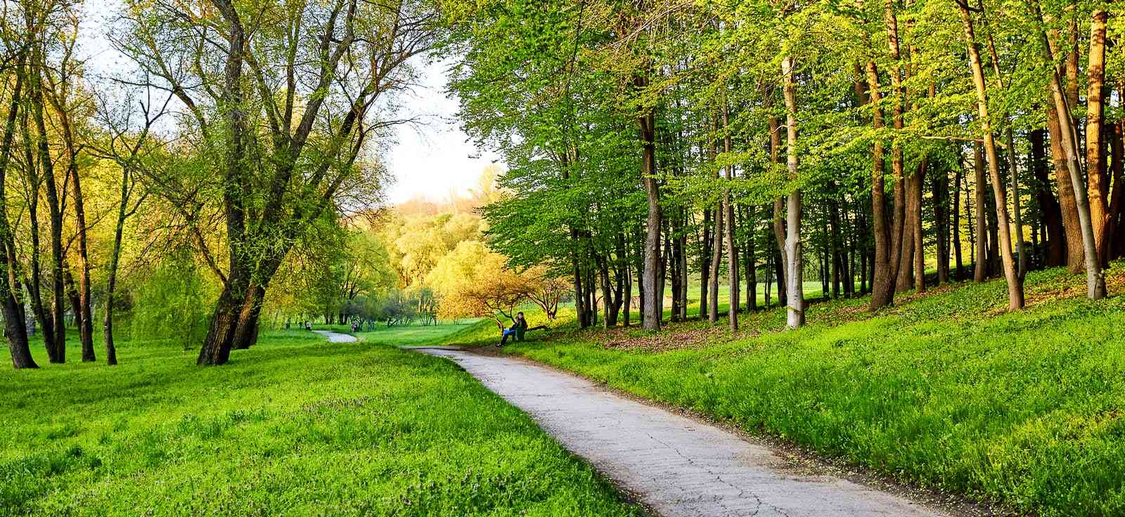 image of garden pathway